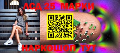 гидропоника Донской