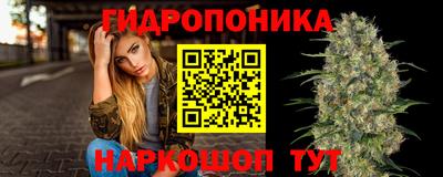 бошки Донецк