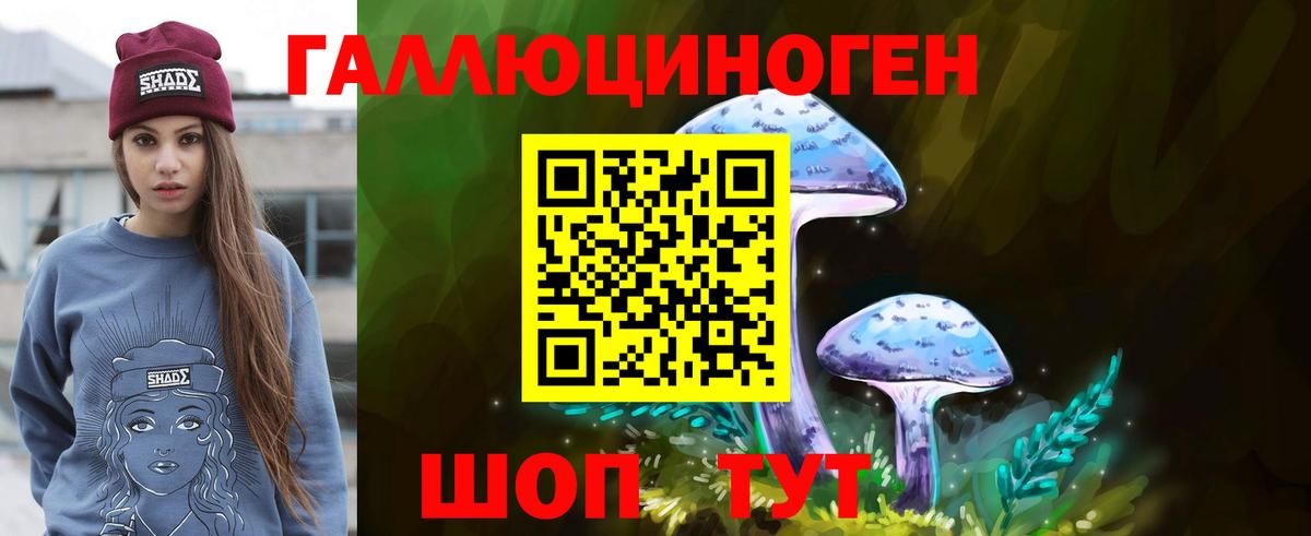 Копейск  Галлюциногенные грибы Cubensis  Вход с VPN 